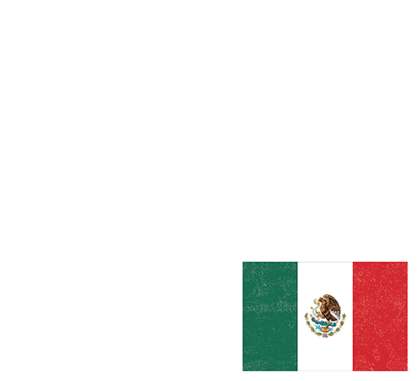 Doing business in Mexico